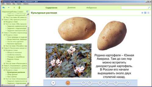 Окружающий мир, 1 класс, экран 4 Окружающий мир, 1 класс, экран приложения 4