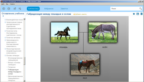 Программа от 1С Биология. Коллекция наглядных материалов. 5, 6, 7, 8, 9, 10, 11 классы, экран 3 Экран программы от 1С Коллекция наглядных материалов. 5, 6, 7, 8, 9, 10, 11 классы