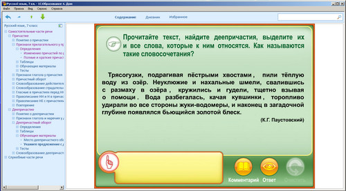 Образовательный комплекс 1С: Школа. Русский язык, 7 класс, экран 1 Экран образовательного комплекса 1С: Школа. Русский язык. 7 класс