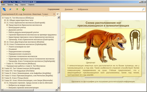 Образовательный комплекс 1С: Школа. Биология. 7 класс, экран 4 Экран образовательного комплекс 1С: Школа. Биология. 7 класс