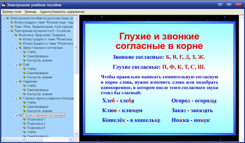 Экран электронного учебного пособия по русскому языку к учебнику М.М.Разумовской для 9 класса