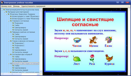 Экран пособия Электронный репетитор по русскому языку